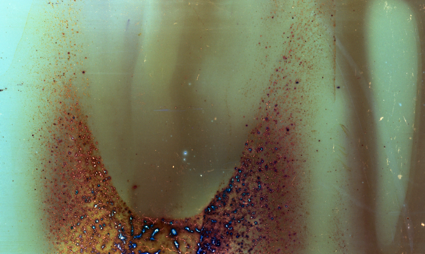 gowanus-canal film photograph