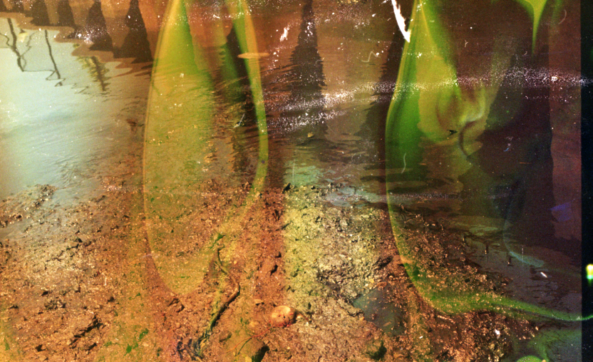 gowanus-canal film photograph