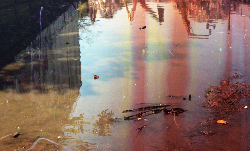 gowanus-canal film photograph