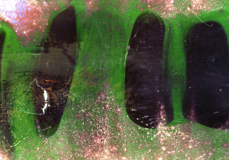 gowanus-canal film photograph