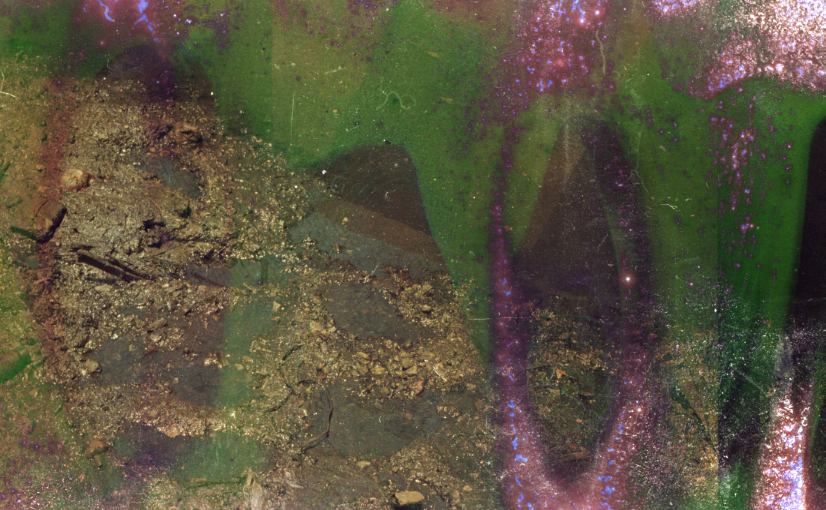 gowanus-canal film photograph