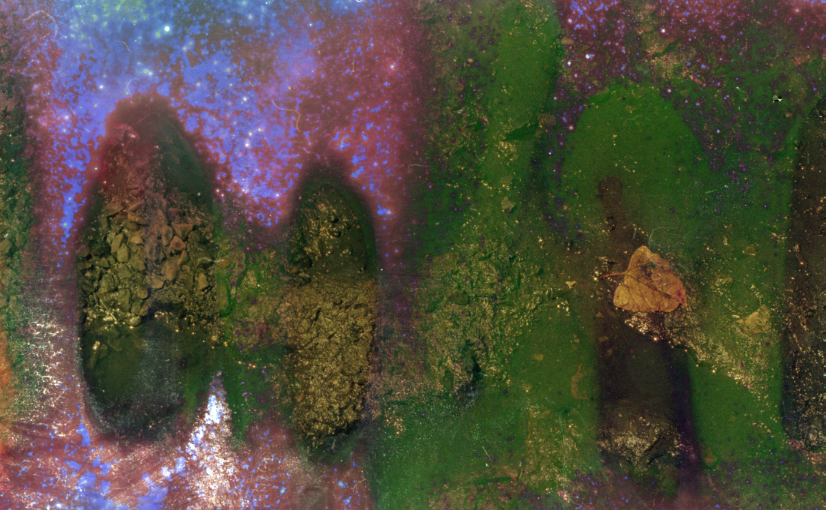 gowanus-canal film photograph