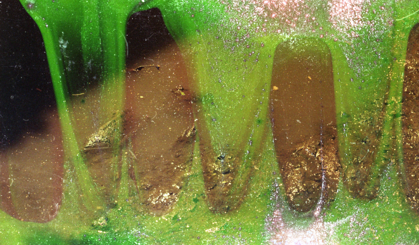 gowanus-canal film photograph