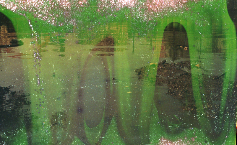 gowanus-canal film photograph