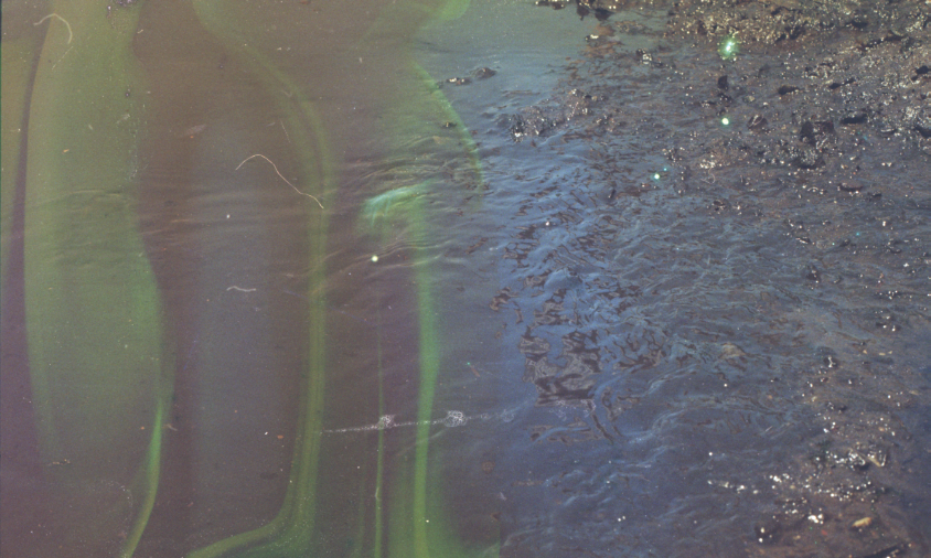 gowanus-canal film photograph