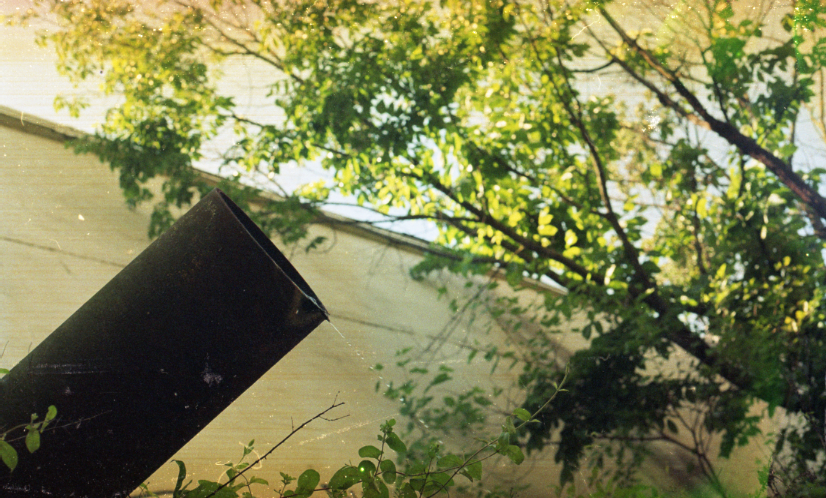 gowanus-canal film photograph