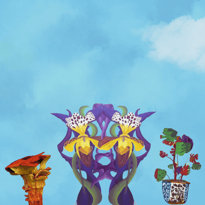 Animated collage of Caroline Chou's work