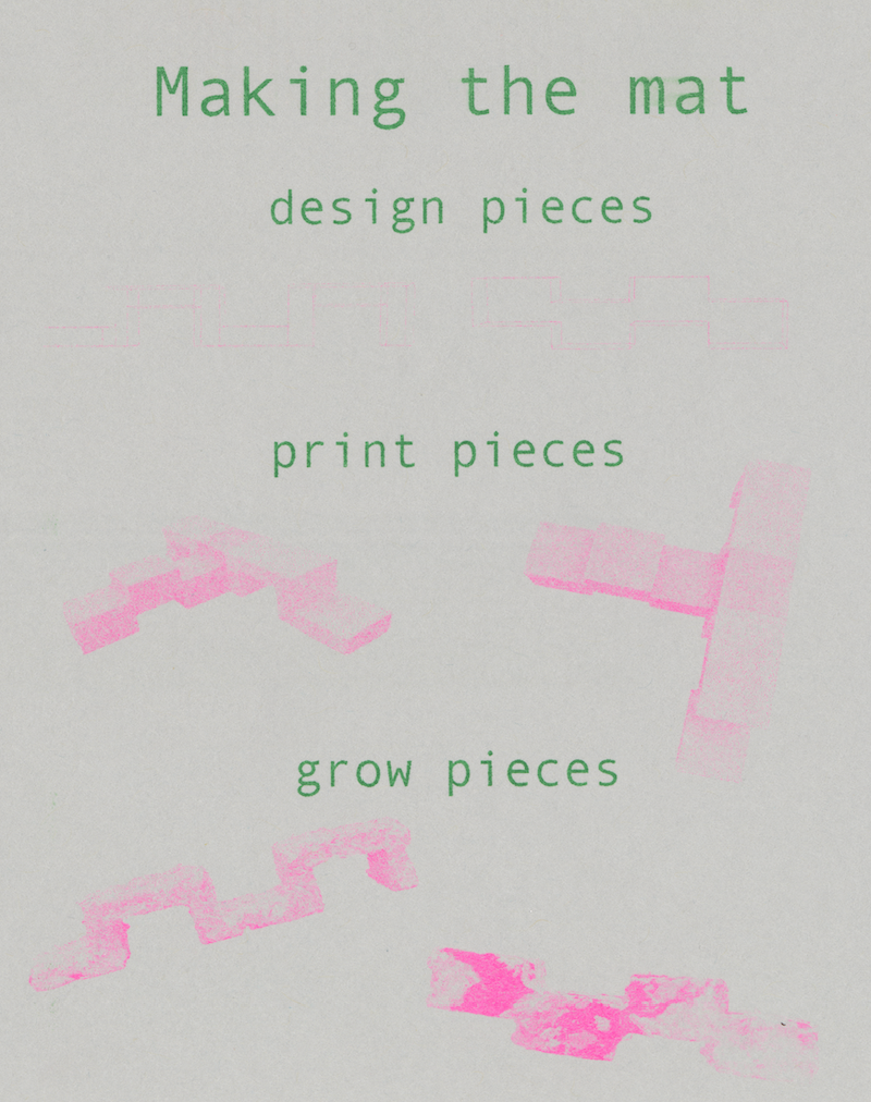 Mycelial Mat Zine page 5