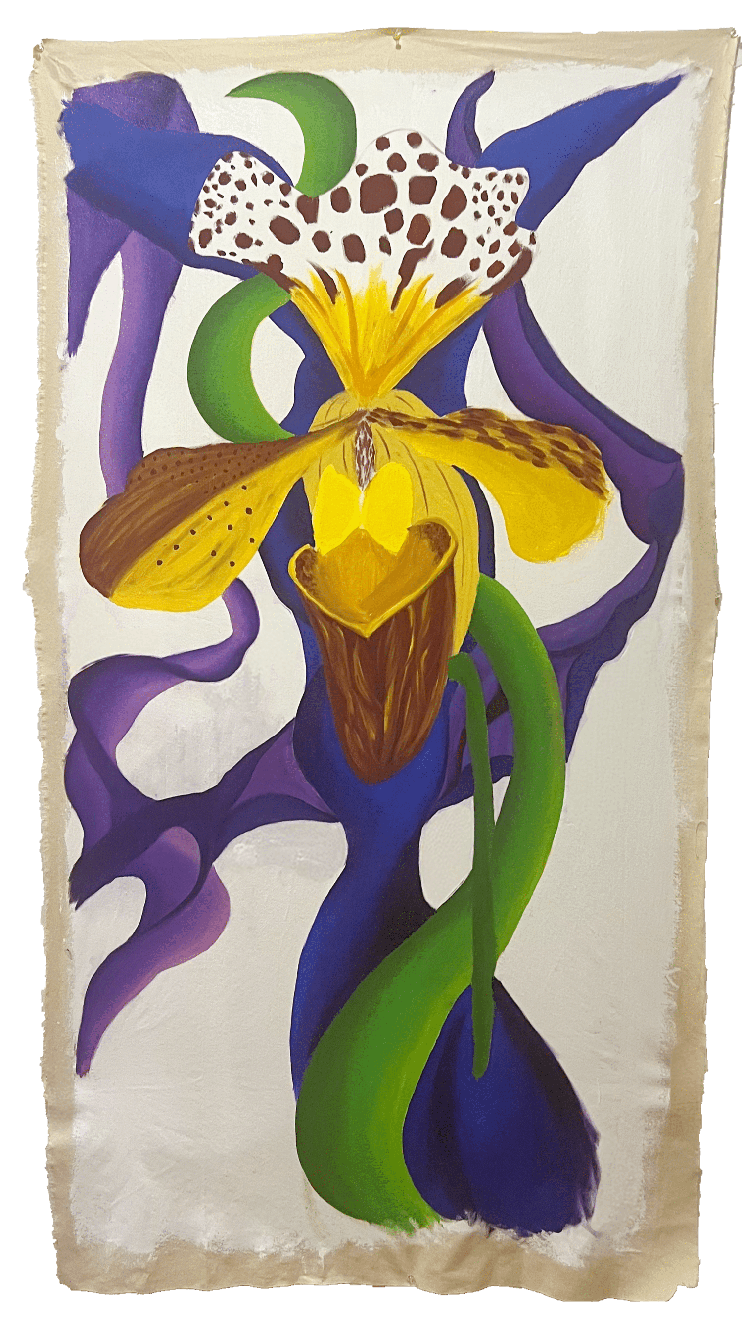 Orchid