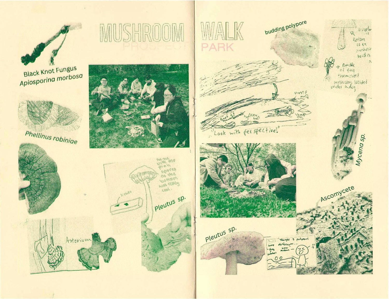Roots of Renewal Zine page 5