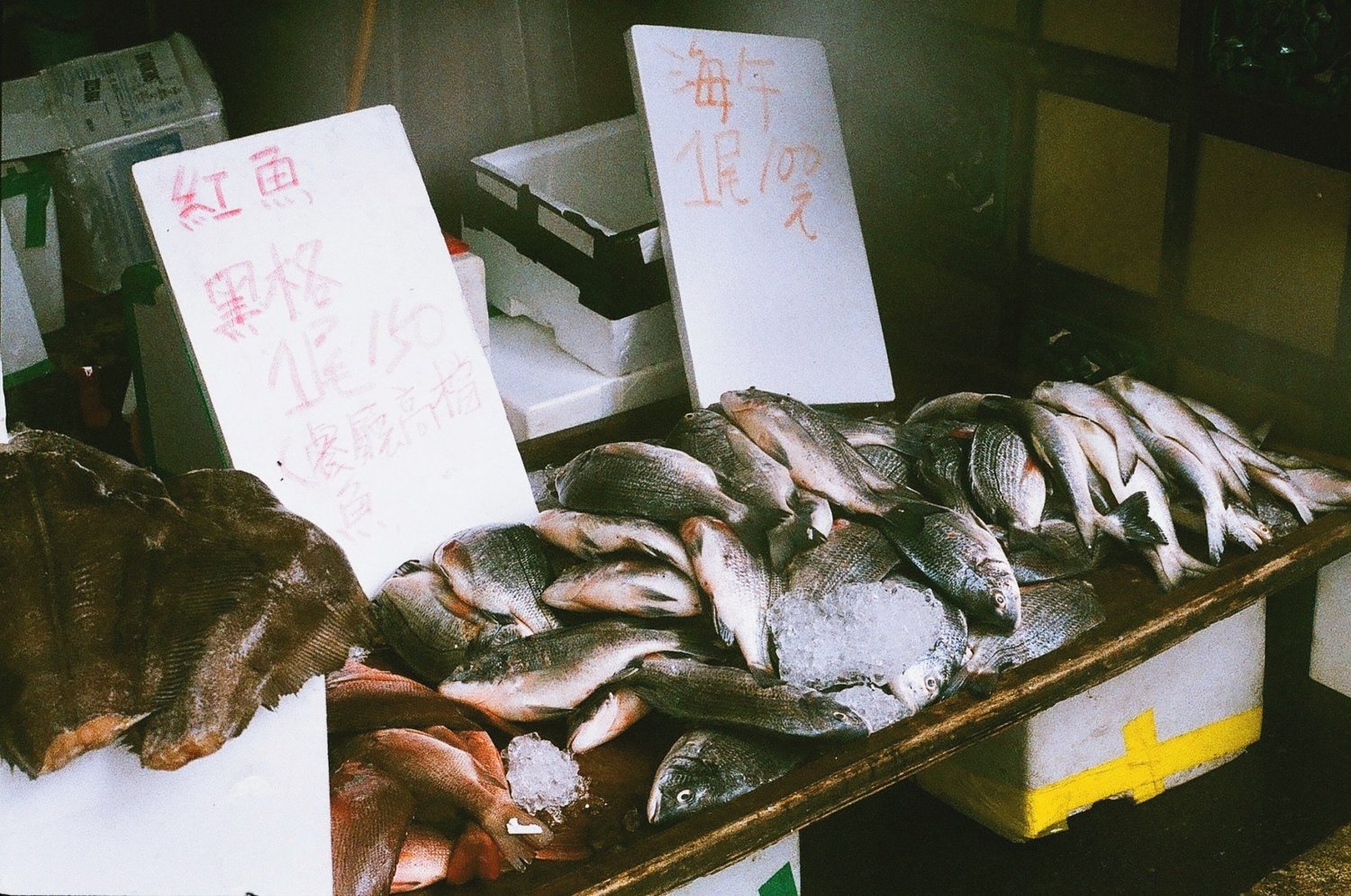 taiwan film photograph
