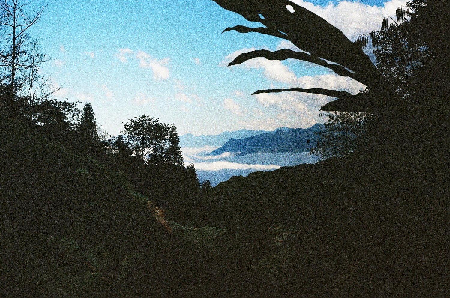 vietnam film photograph