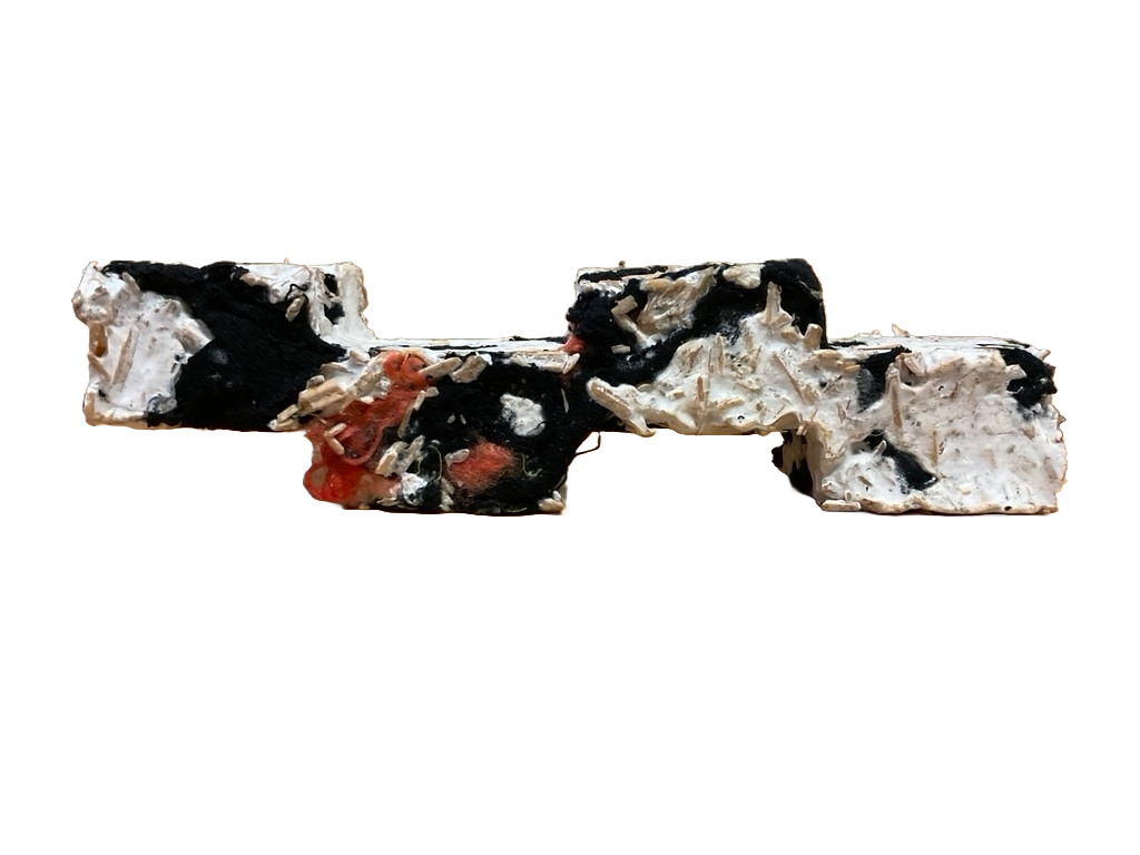 mycelial mat