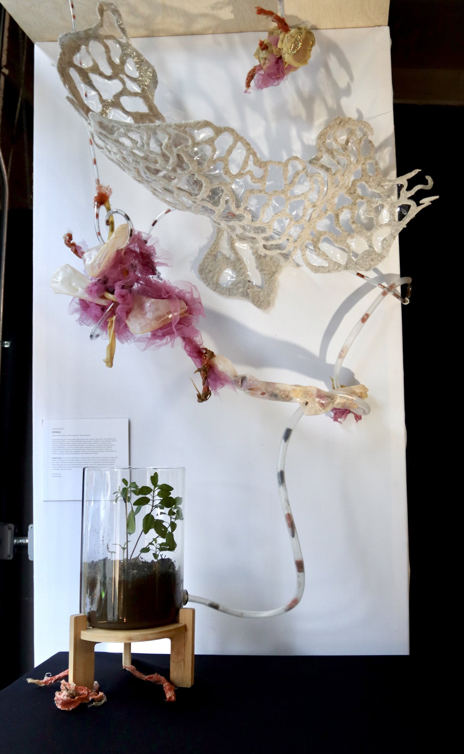 With(In) installation detail